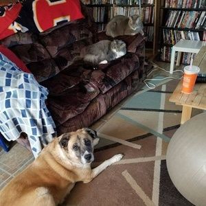 Meet your Posher, Patricia